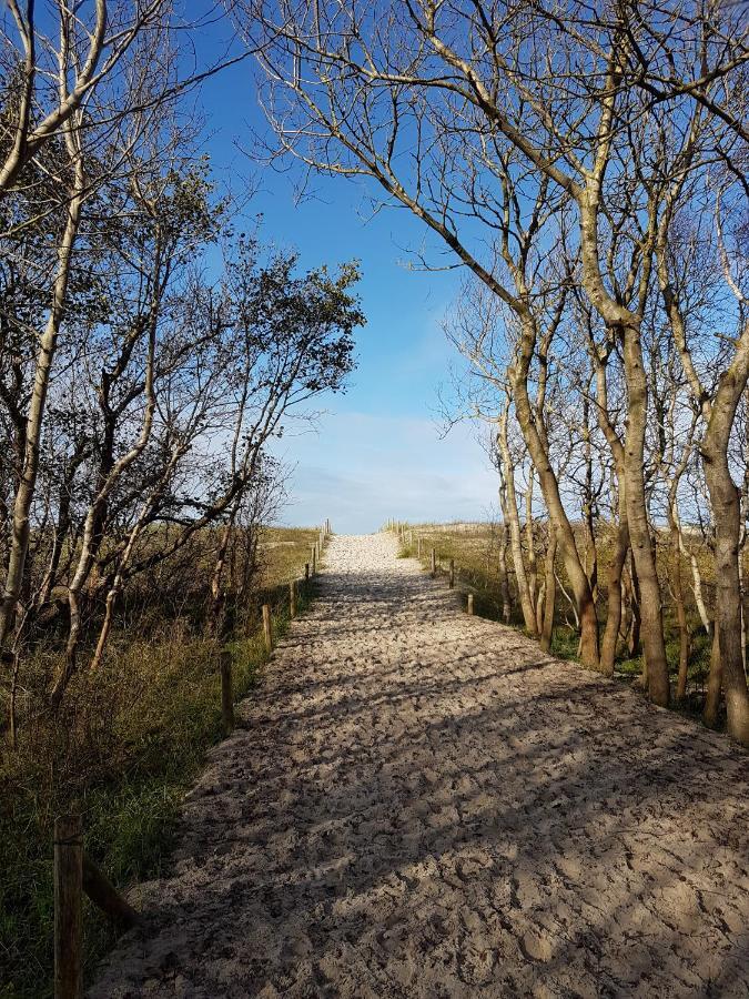Sonnenstrahl Im Kuestenwald Gelbensande Εξωτερικό φωτογραφία